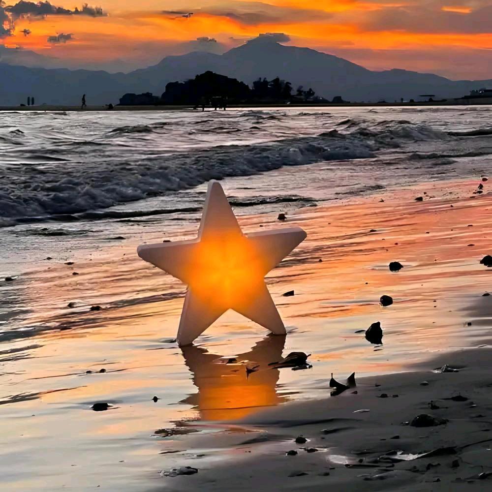 ✨✨✨燕梓的星星✨✨✨