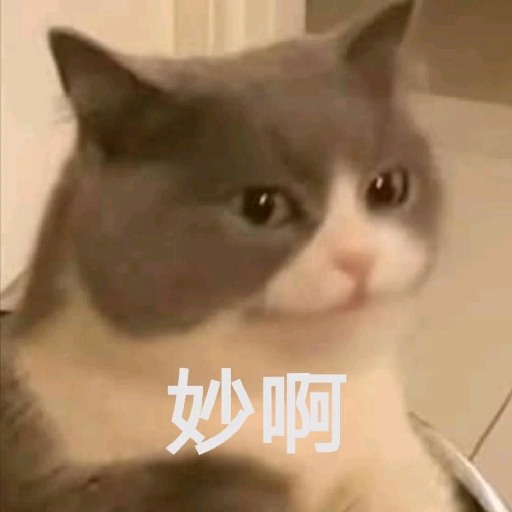汉堡大王（三角洲）