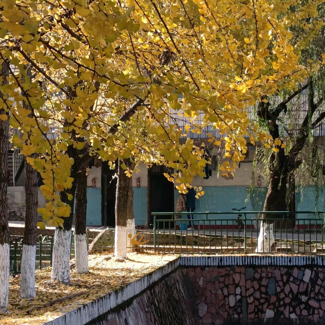 (・ω・)滴水成冰