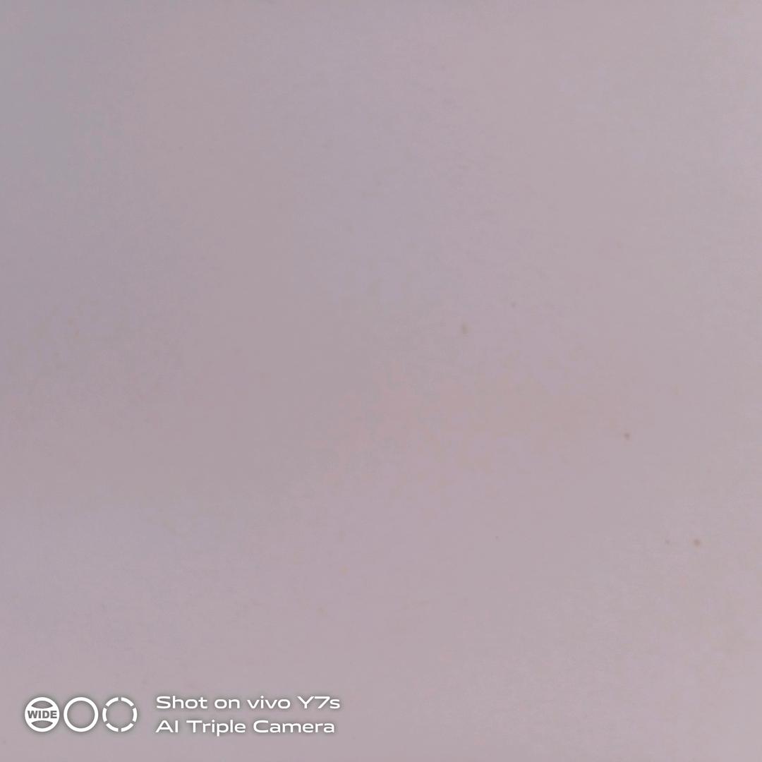 张放星