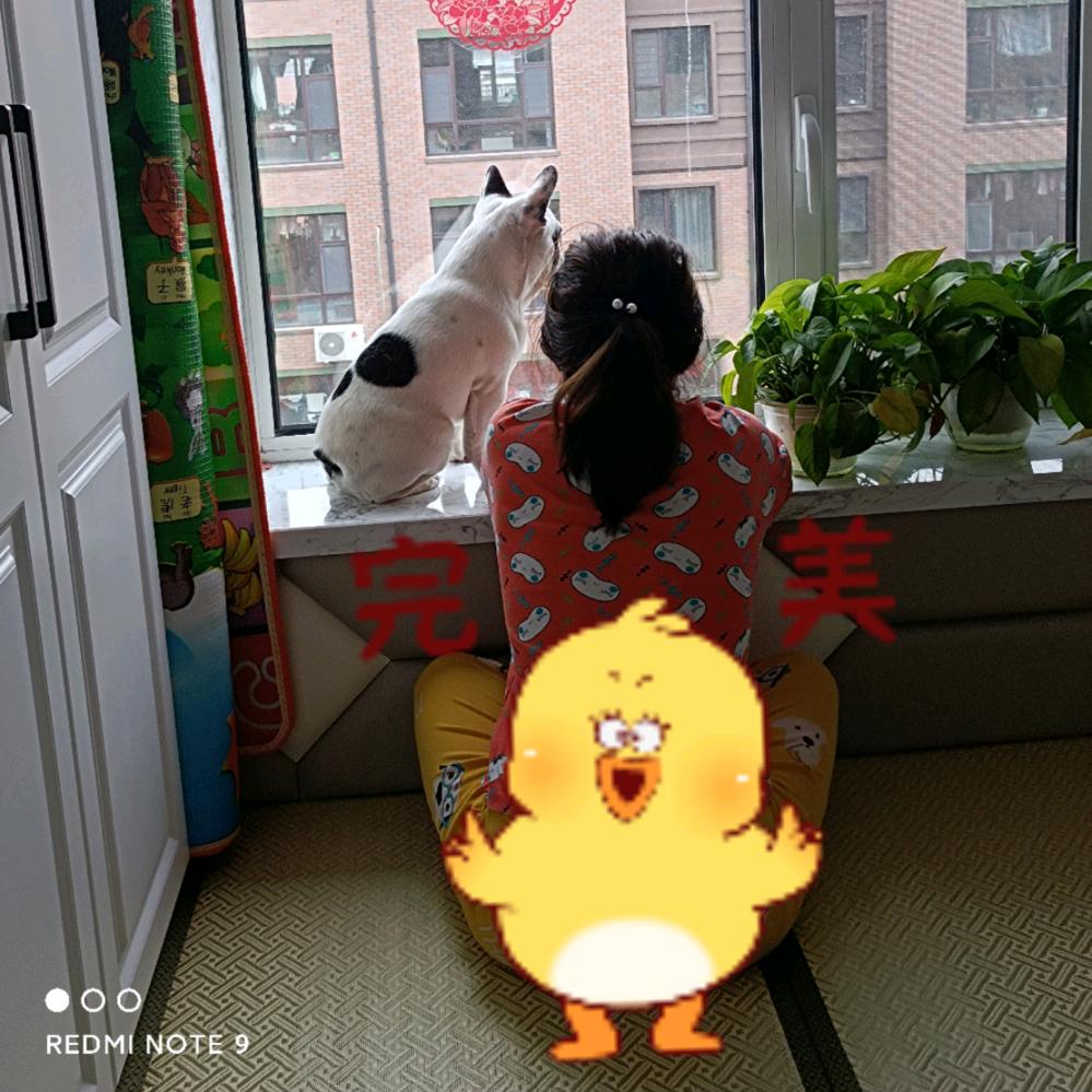 梦想带媳妇游全国