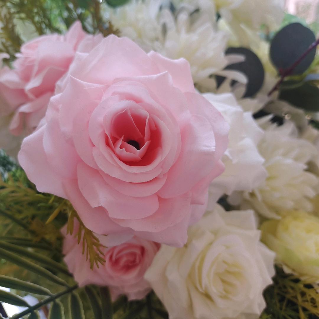 🌈小小小小小鸟