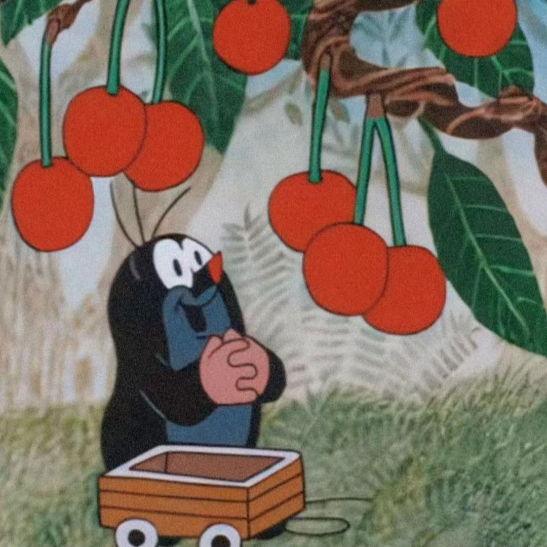 就爱吃个酸果子.