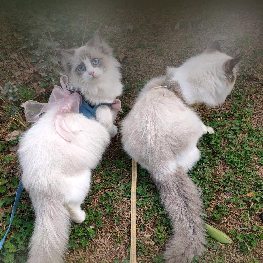 嗨~是小方啊💞