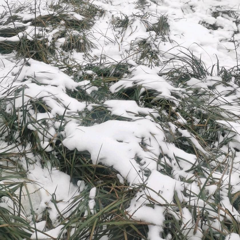 陌然❄️❄️