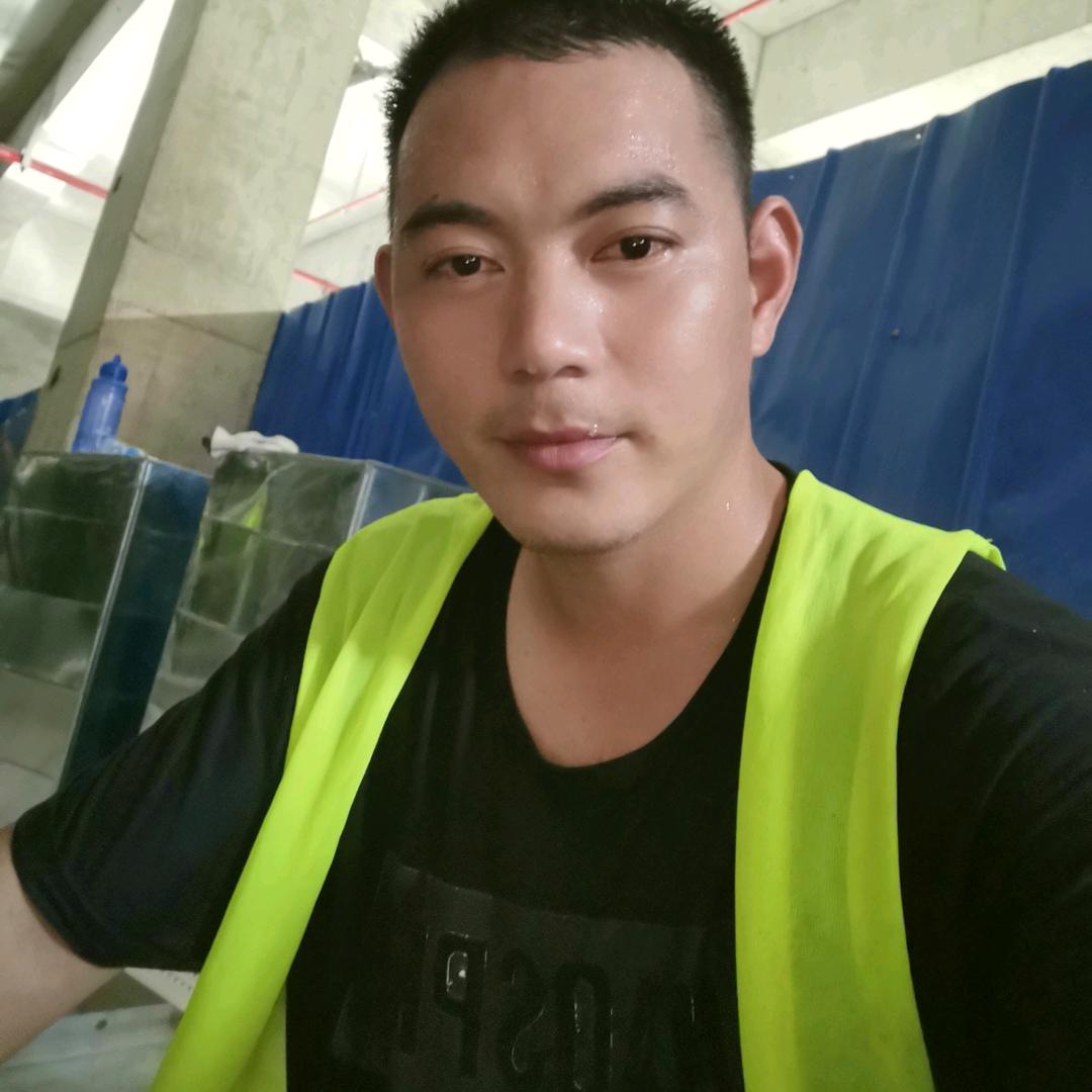 忙碌的小蜜蜂