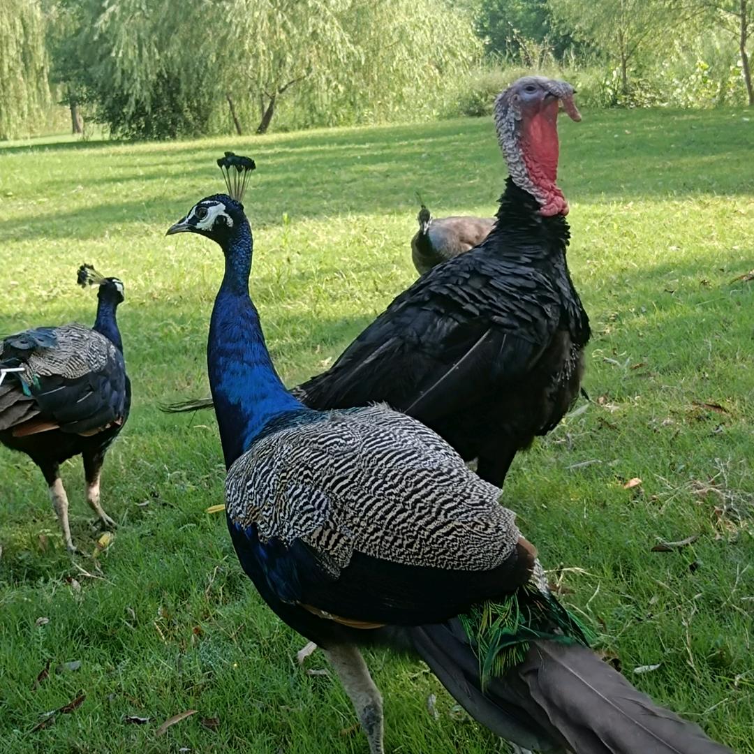 🙏勿忘初心🤟