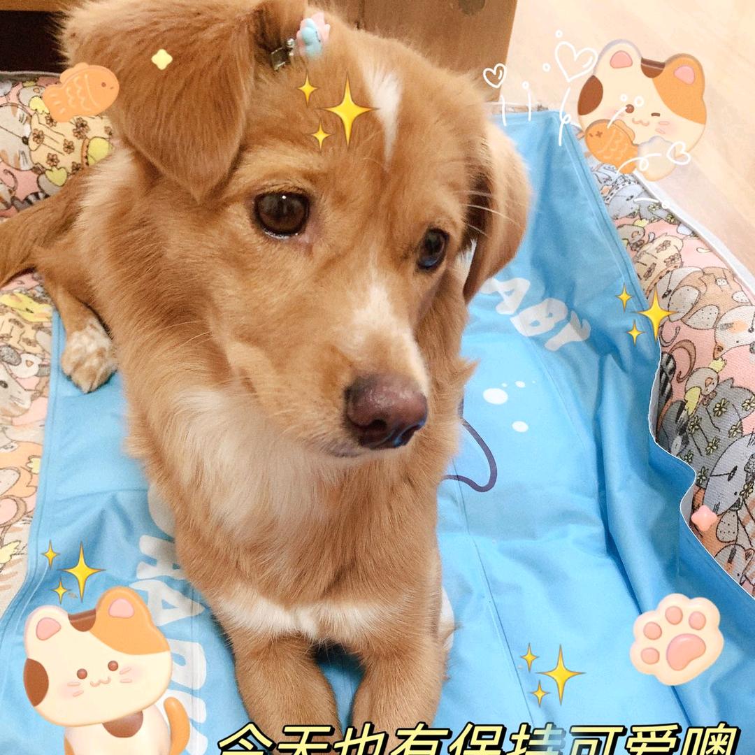 开心^一_笑^