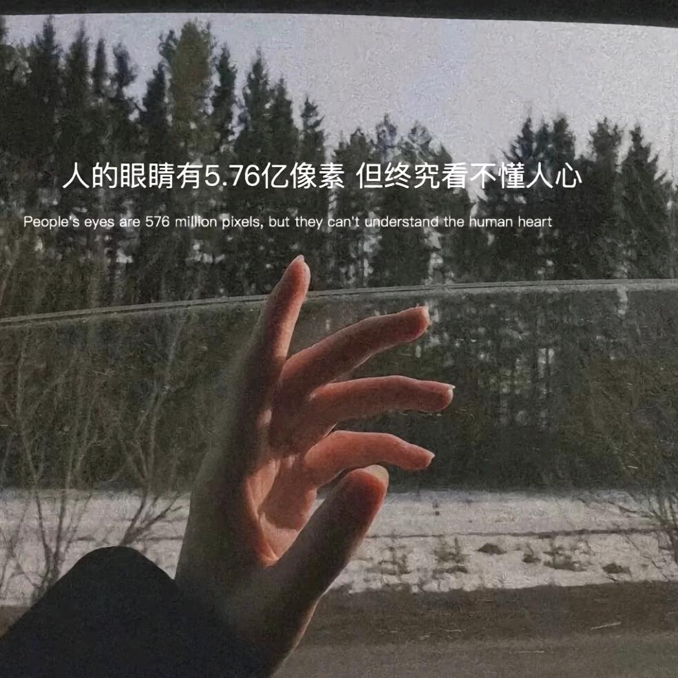 人生若只如初见