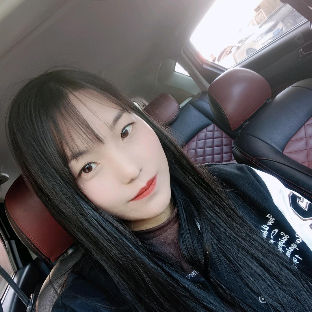 琴