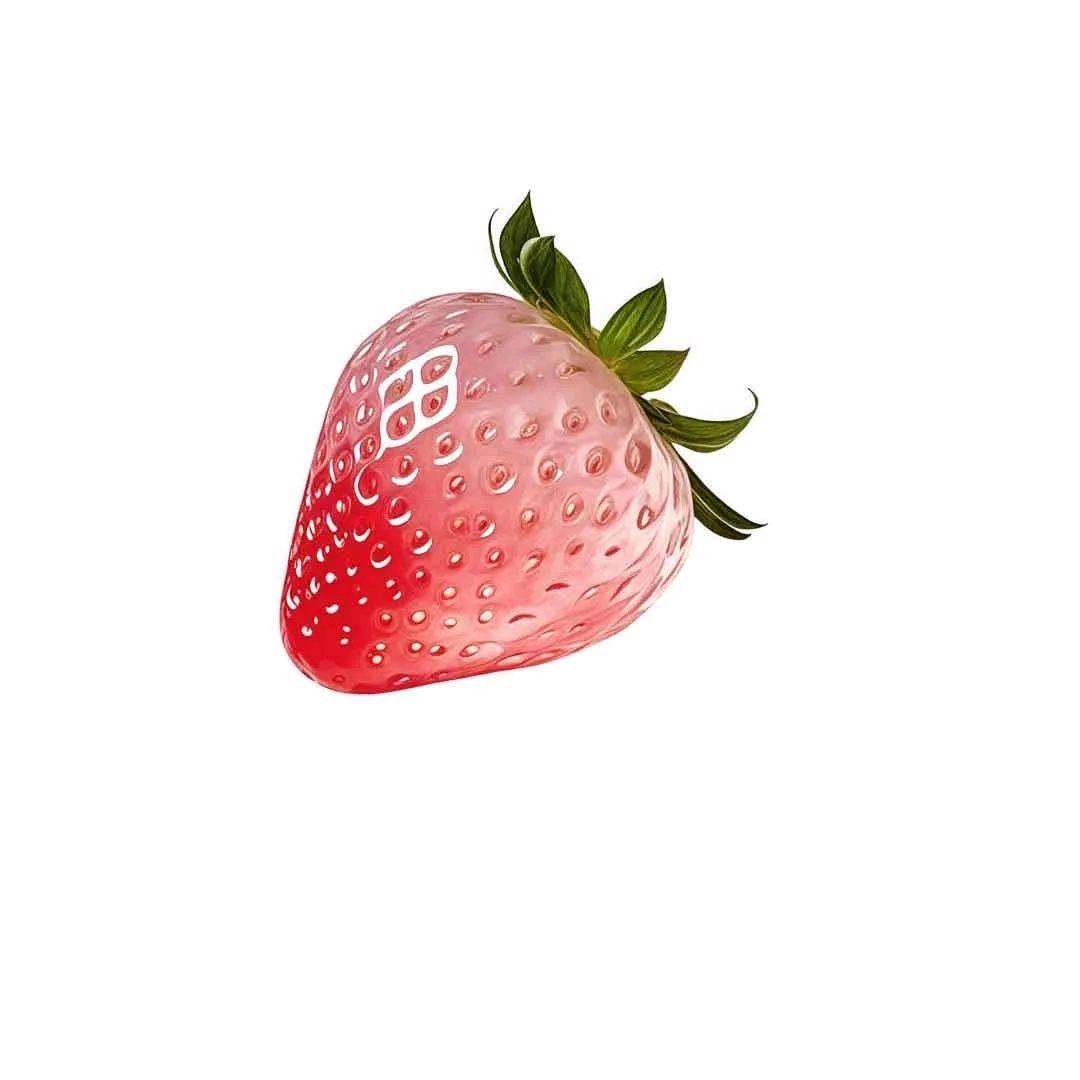 ﾟ*小太阳₊⁺🫧₊