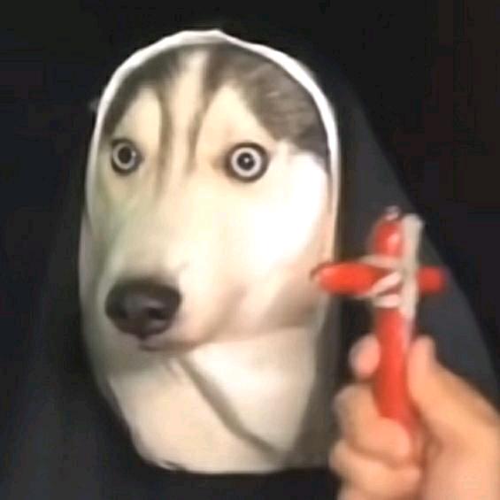 βꪩꪮꪰκꫀꫝ丶ꪶꪗ