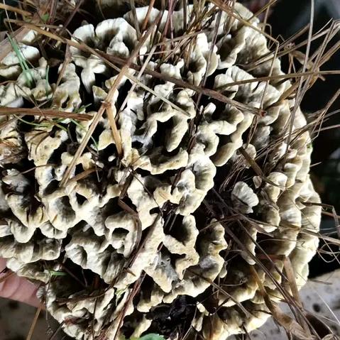 💞࿐: ᭄小🍒幸᭄运💞࿐