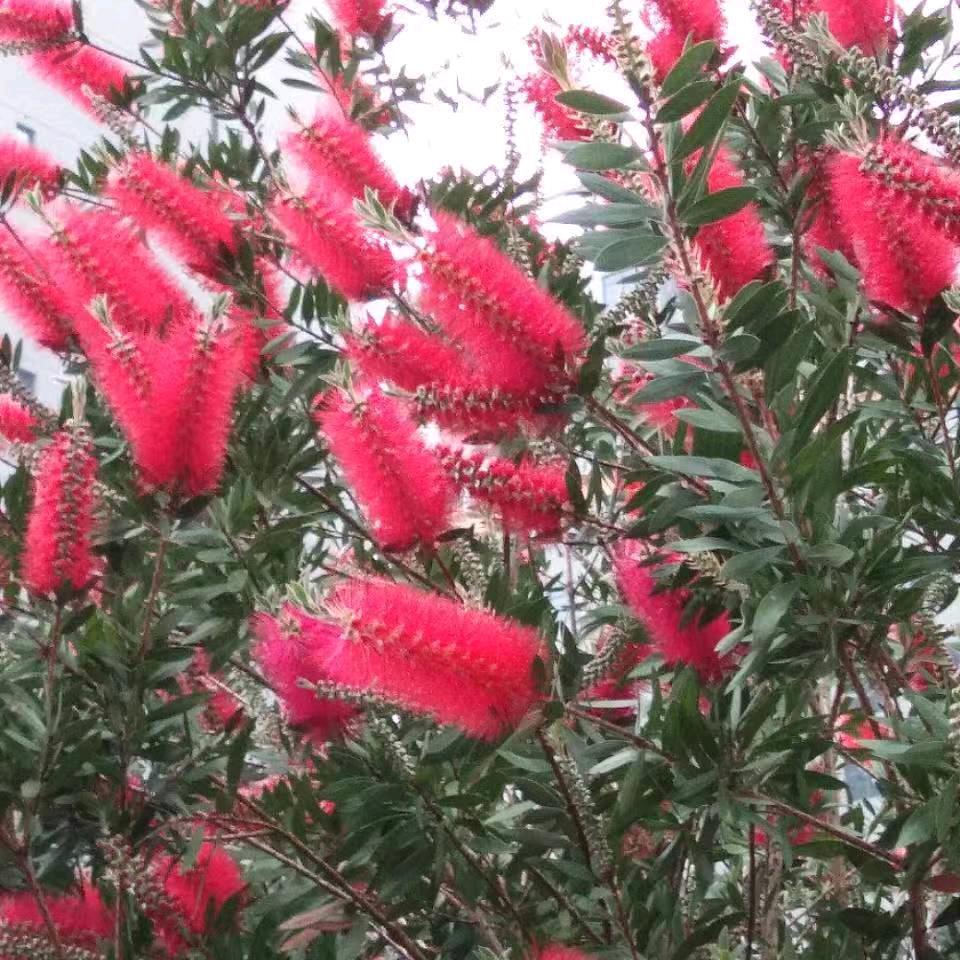 尹家少爷(阿勋)