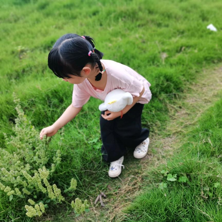 嘟嘟爱吃棒棒糖