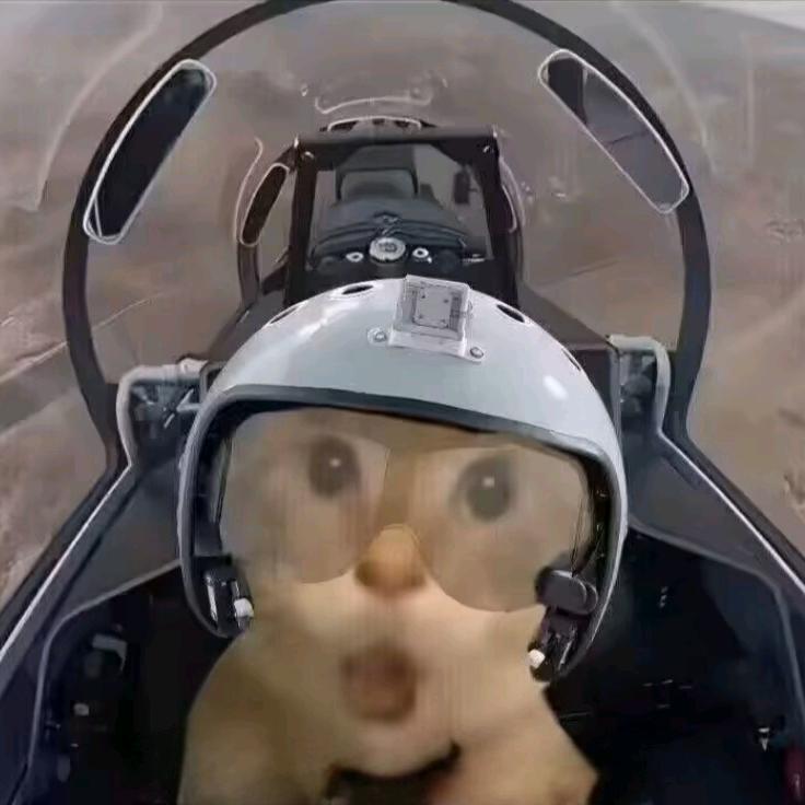 nykkkkk