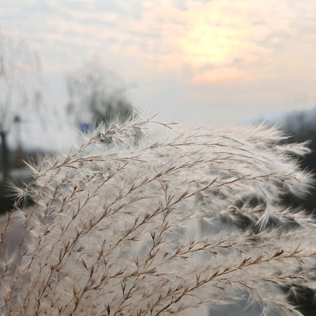 两个孩他爸