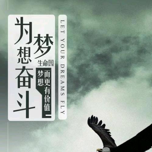 壹六发发