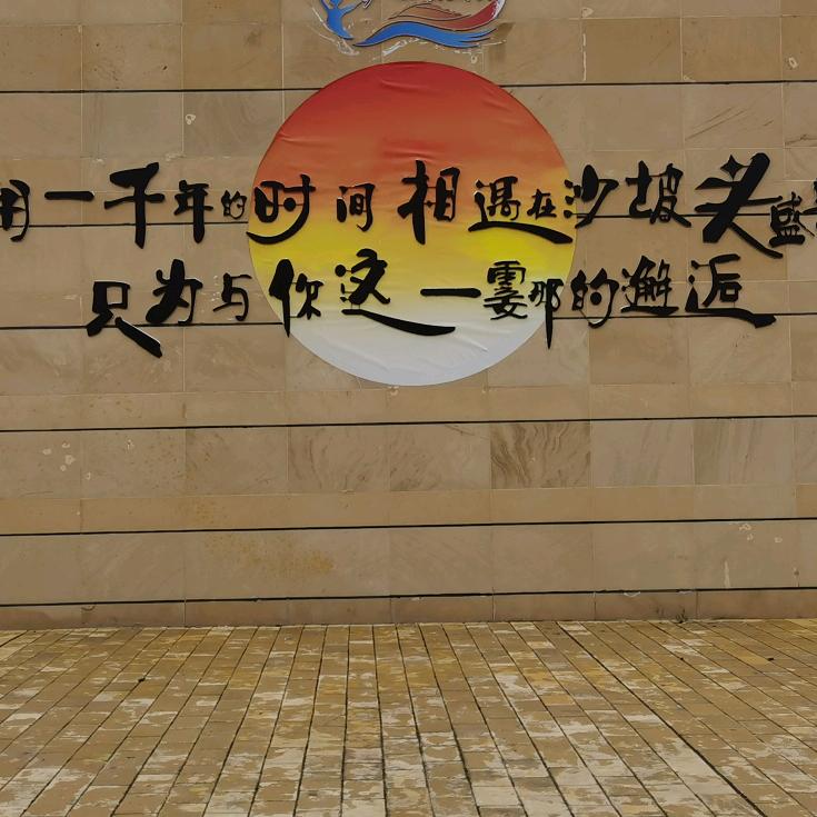 向阳而生