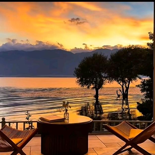 我在人间当淘客