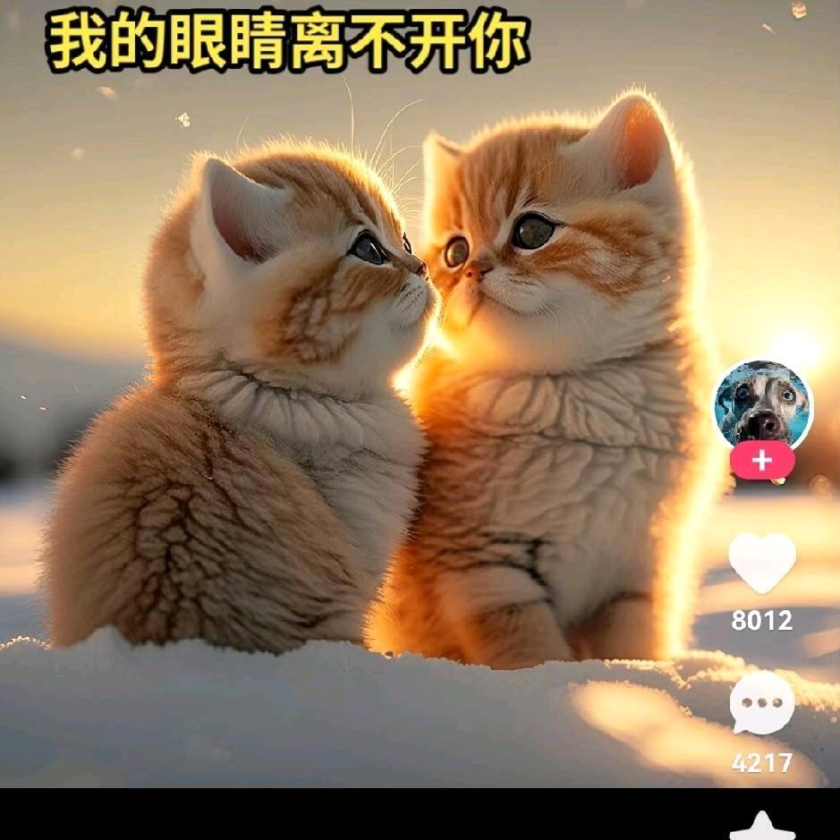 覃爷🐂🍺🐃🍺🐄🍺