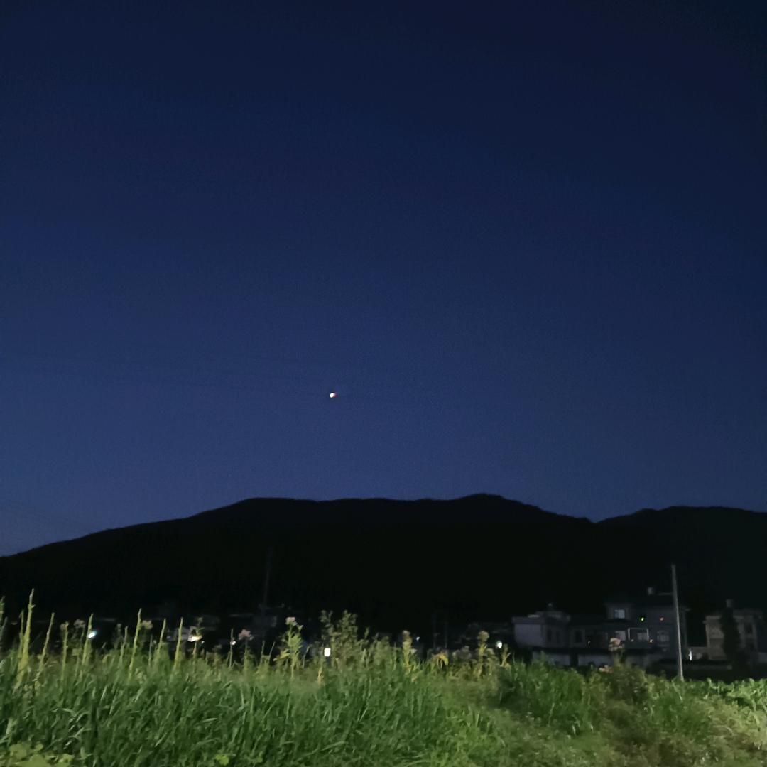 一生平安，美好未来。