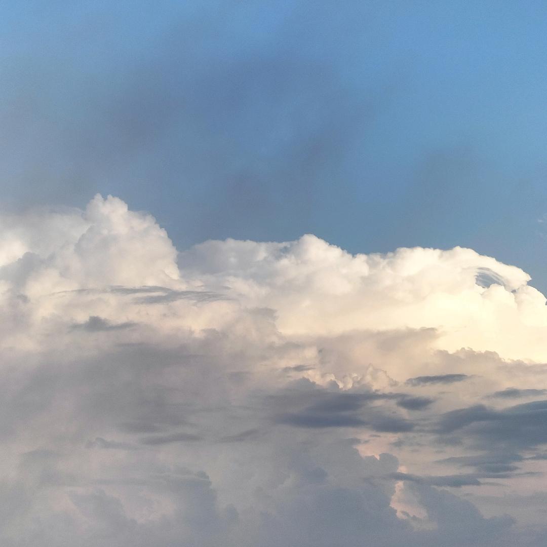 东莞市横沥点芯电子厂