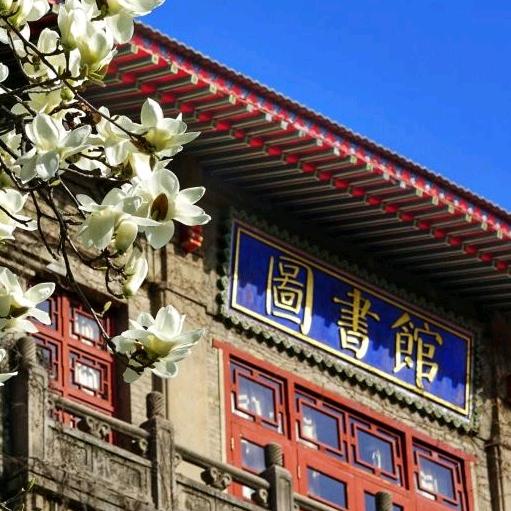 高考志愿卡高考数据卡