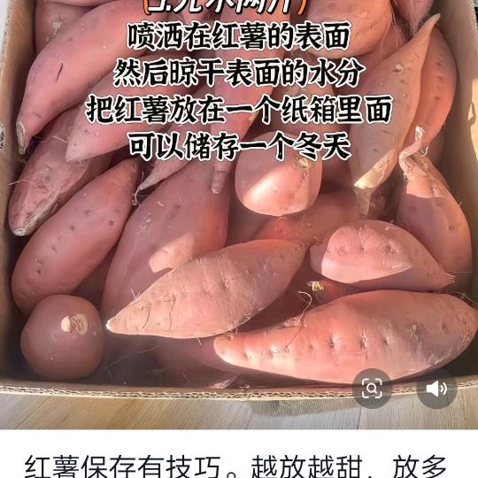 史喜元