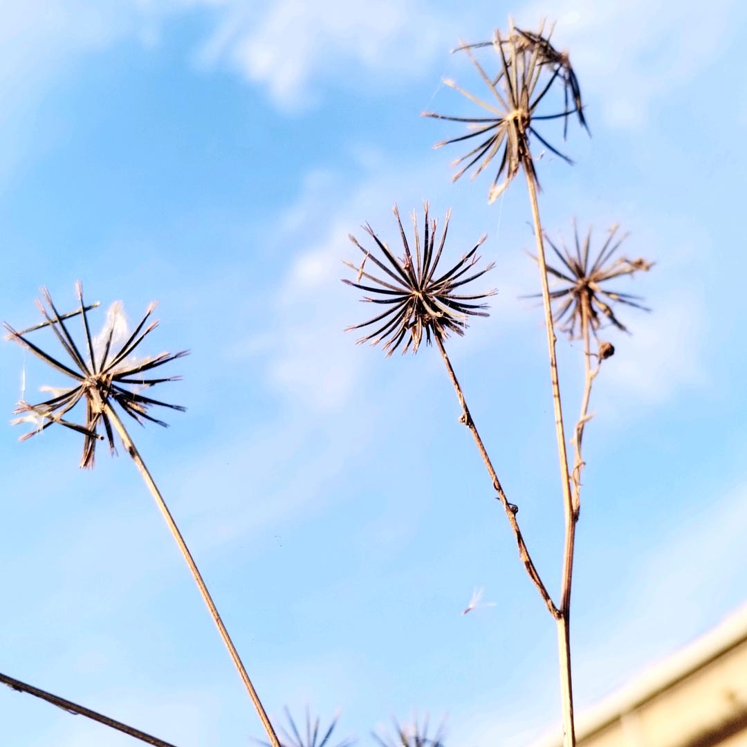 默言（拒私聊）助眠