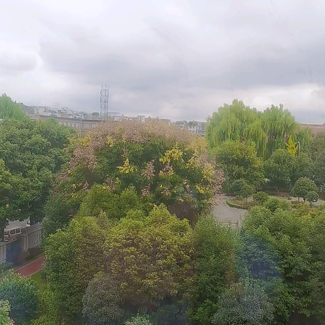 振兴乡村