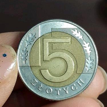 用户155