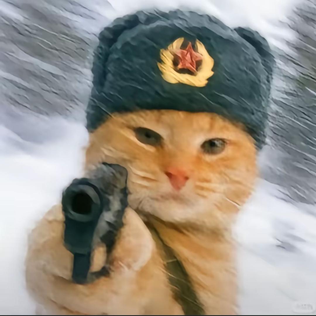 楠柯一梦