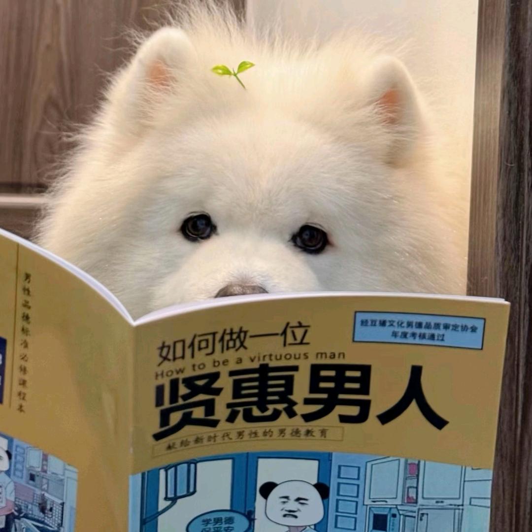 我叫郭惊吓😱！