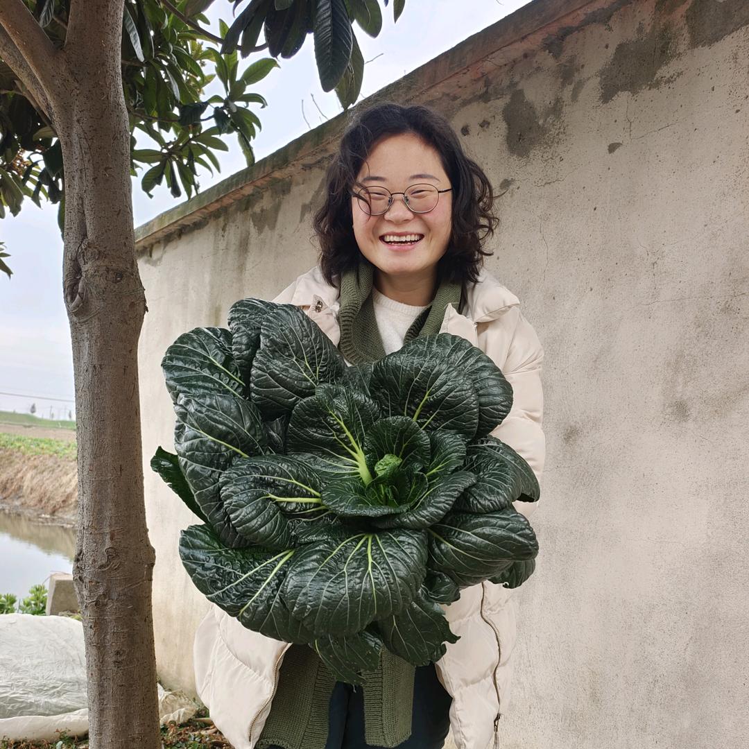 安家南京