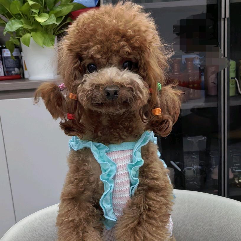 容儿（拒绝连赞.谢谢）