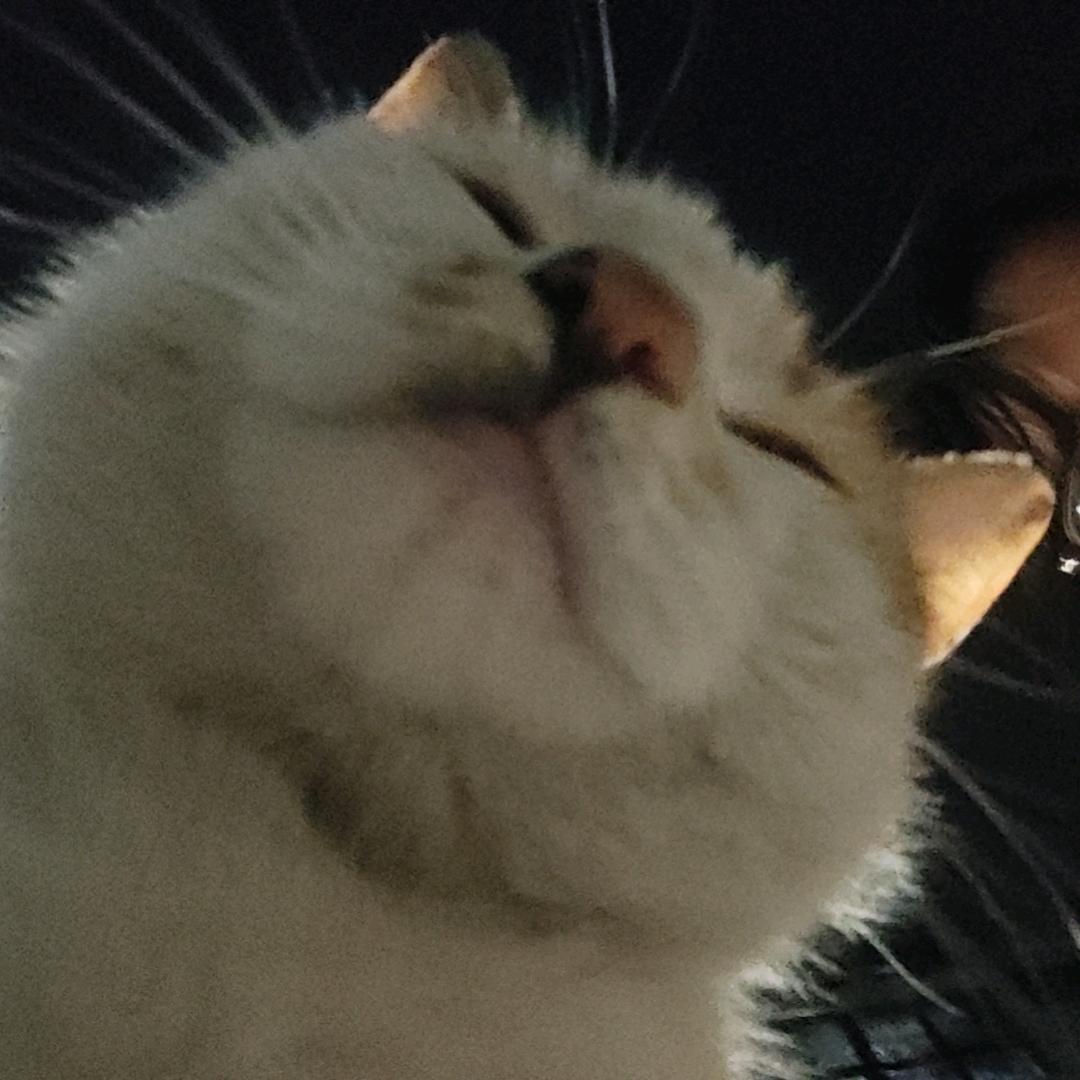 AAA专业种地嘎蛋王师傅