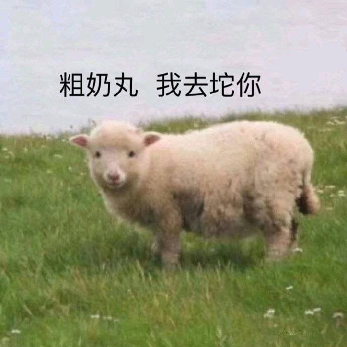 加糖酸奶.