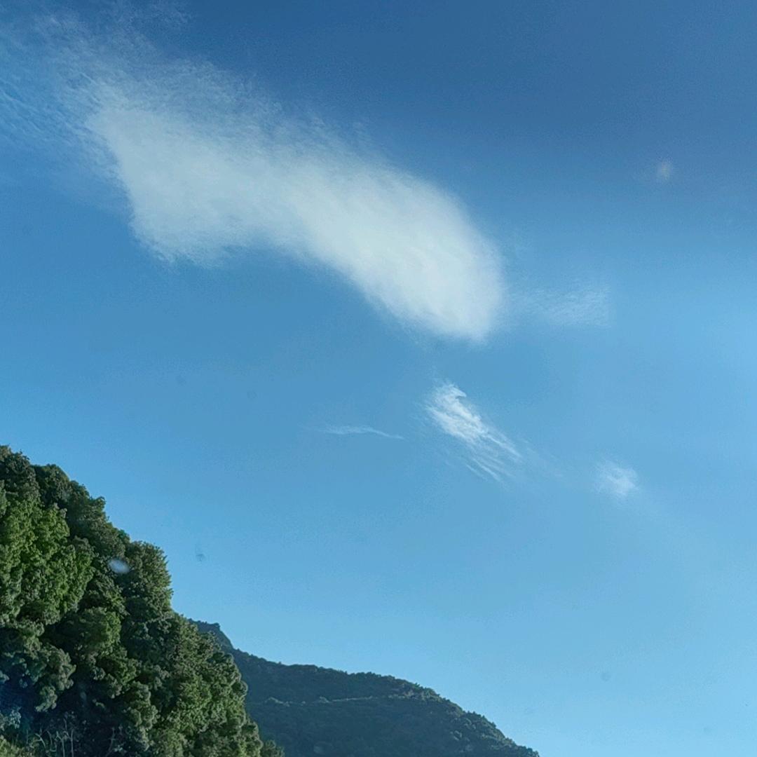 雾会散。🍓