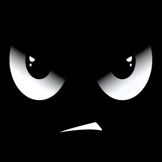 梦动小小不点点直播号