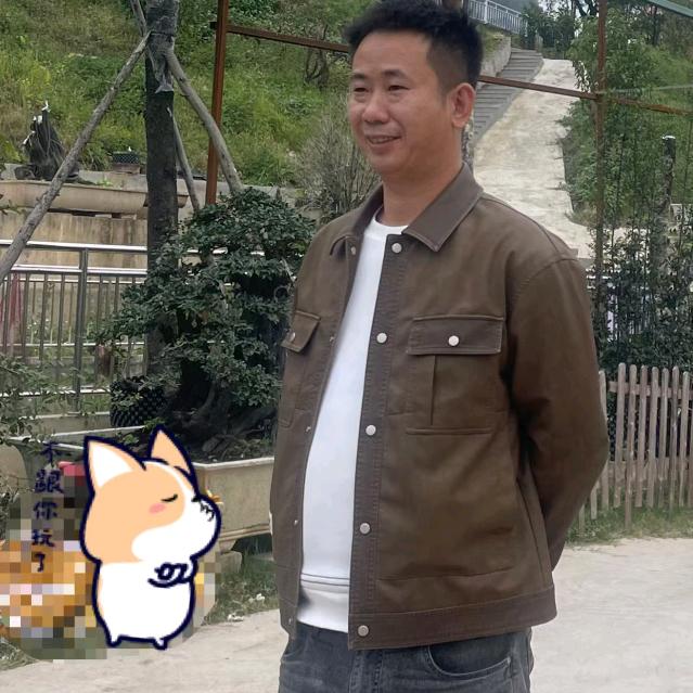 陈波