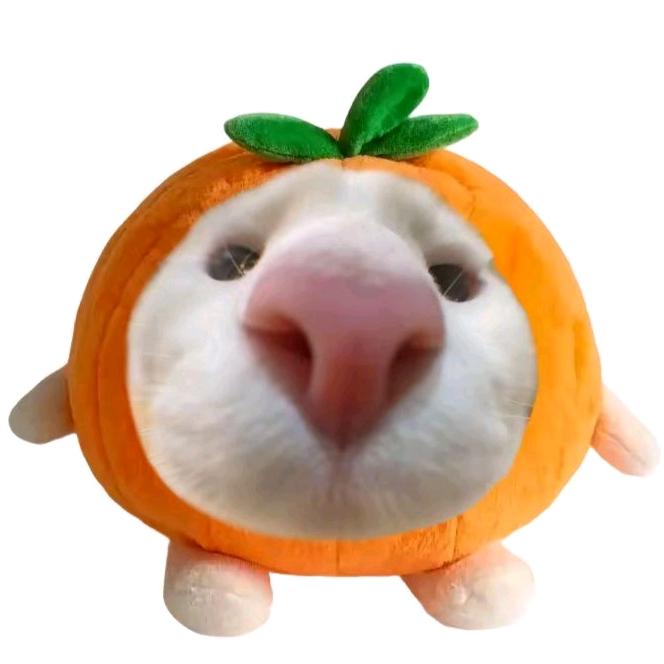 ysy和yjr为何套路我❓👀