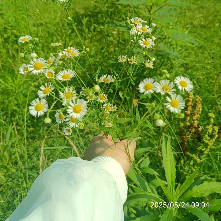 正能量🌻