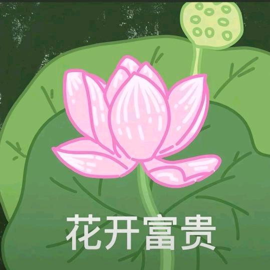 丢卡咩