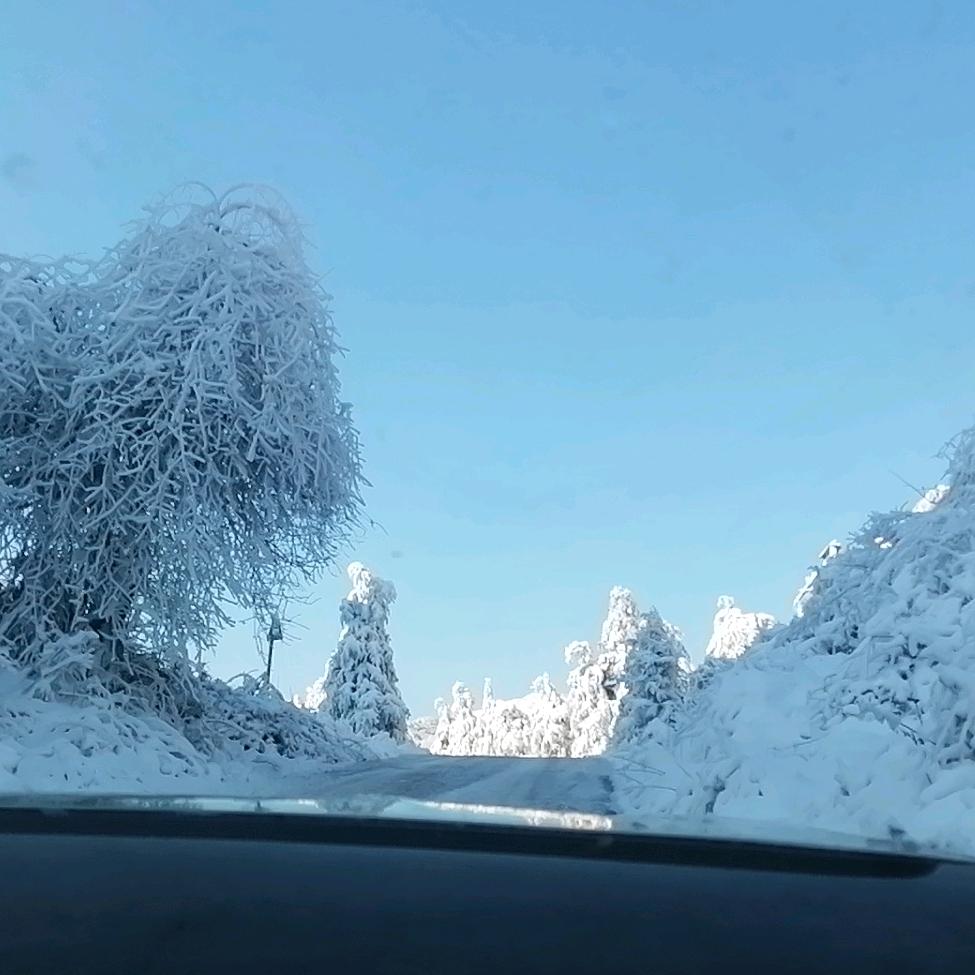 杨兴富