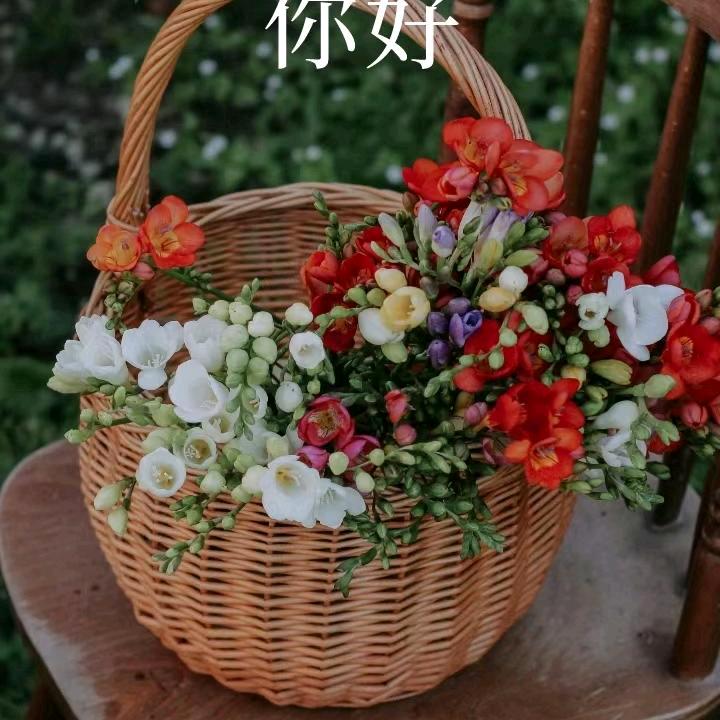 喜欢爱唱歌🌹🌹🌹🎤