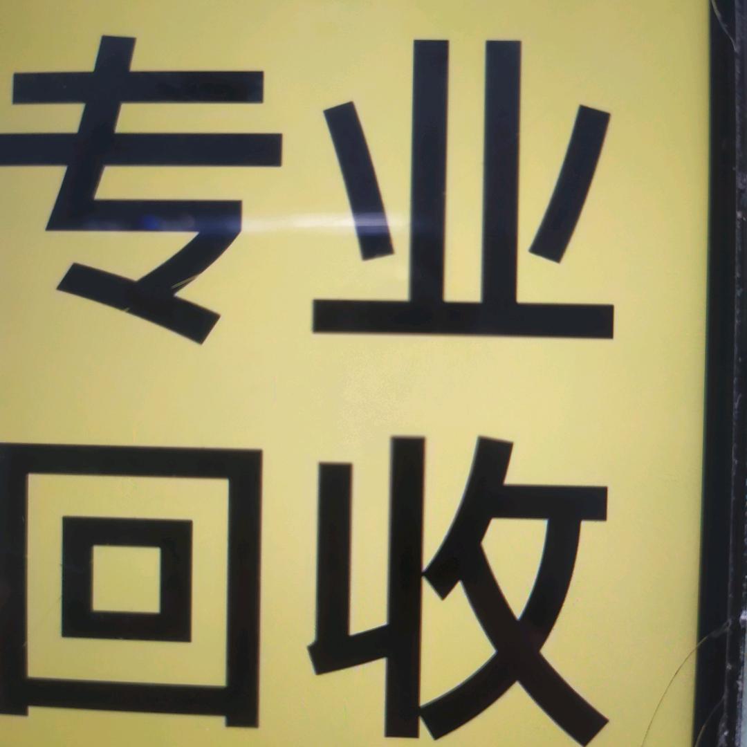 琴总回收古币