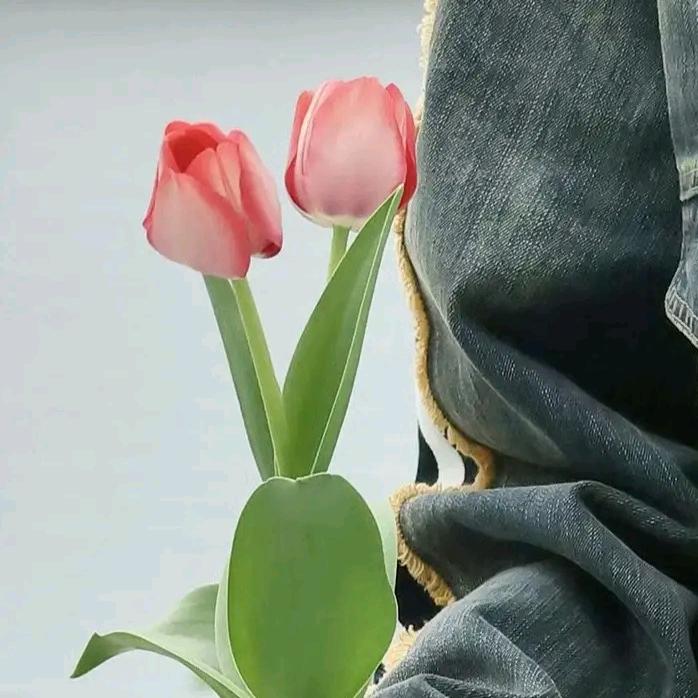 超喜欢吃熙红世🍅