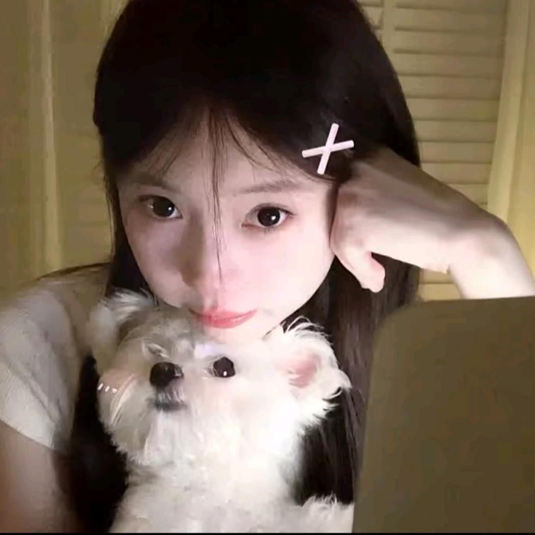 熬夜小狗会变笨(考编版)