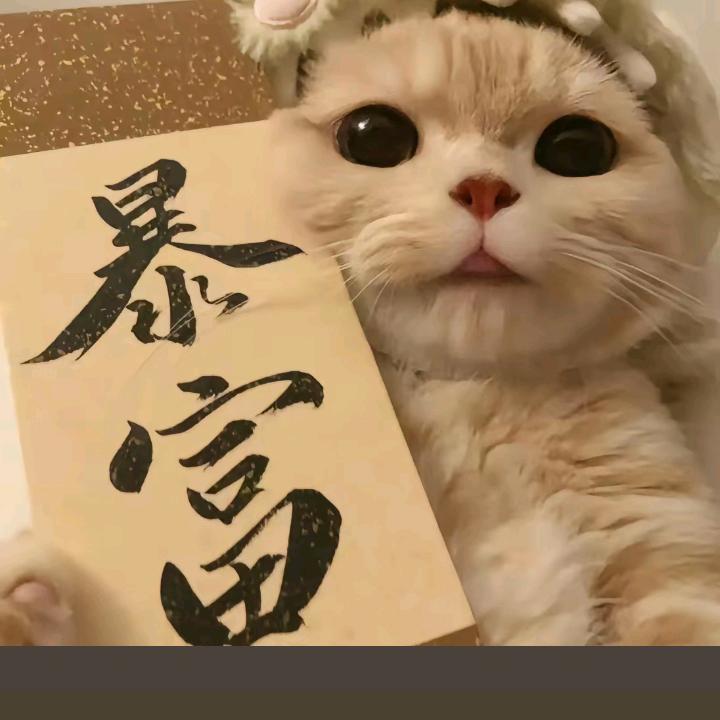 捌玖